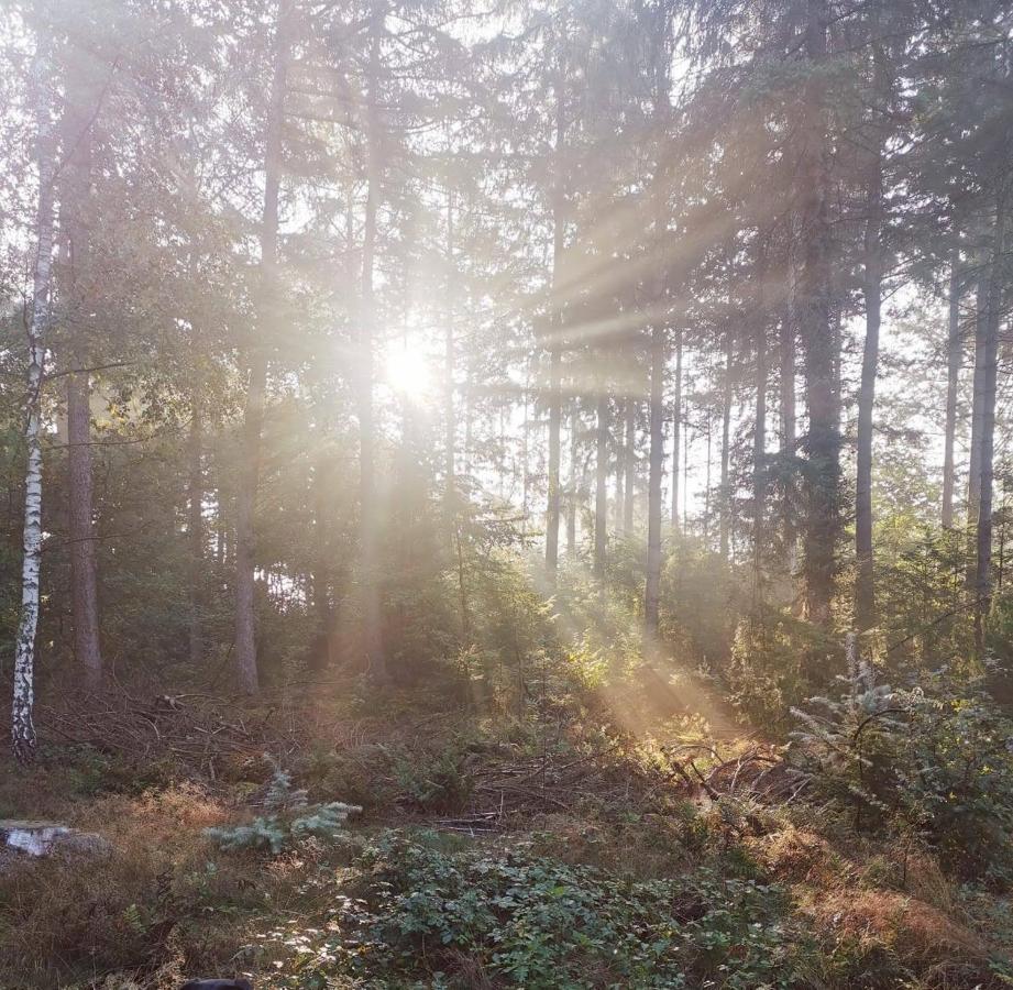 Boslodge 84 Vorden Bagian luar foto